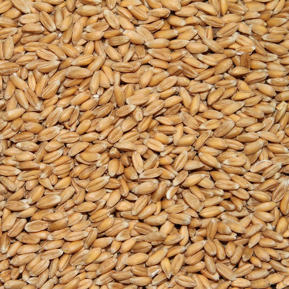 BIO Dinkel  ganzes Korn